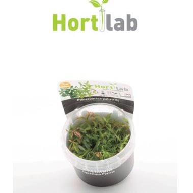 hort lab